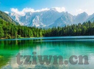 欧美视频成人在线-欧美成人在线视频，文化、艺术与个人选择的交汇点