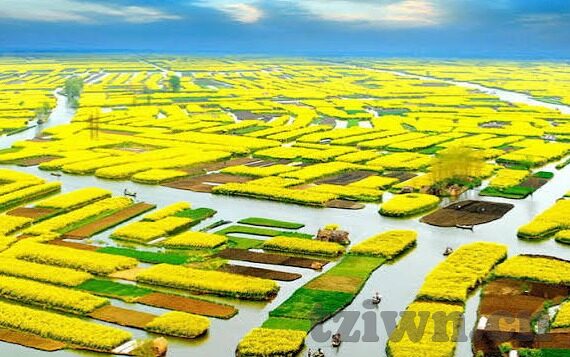糖心app软件下载iOS-探秘糖心，iOS端应用下载的奇妙之旅